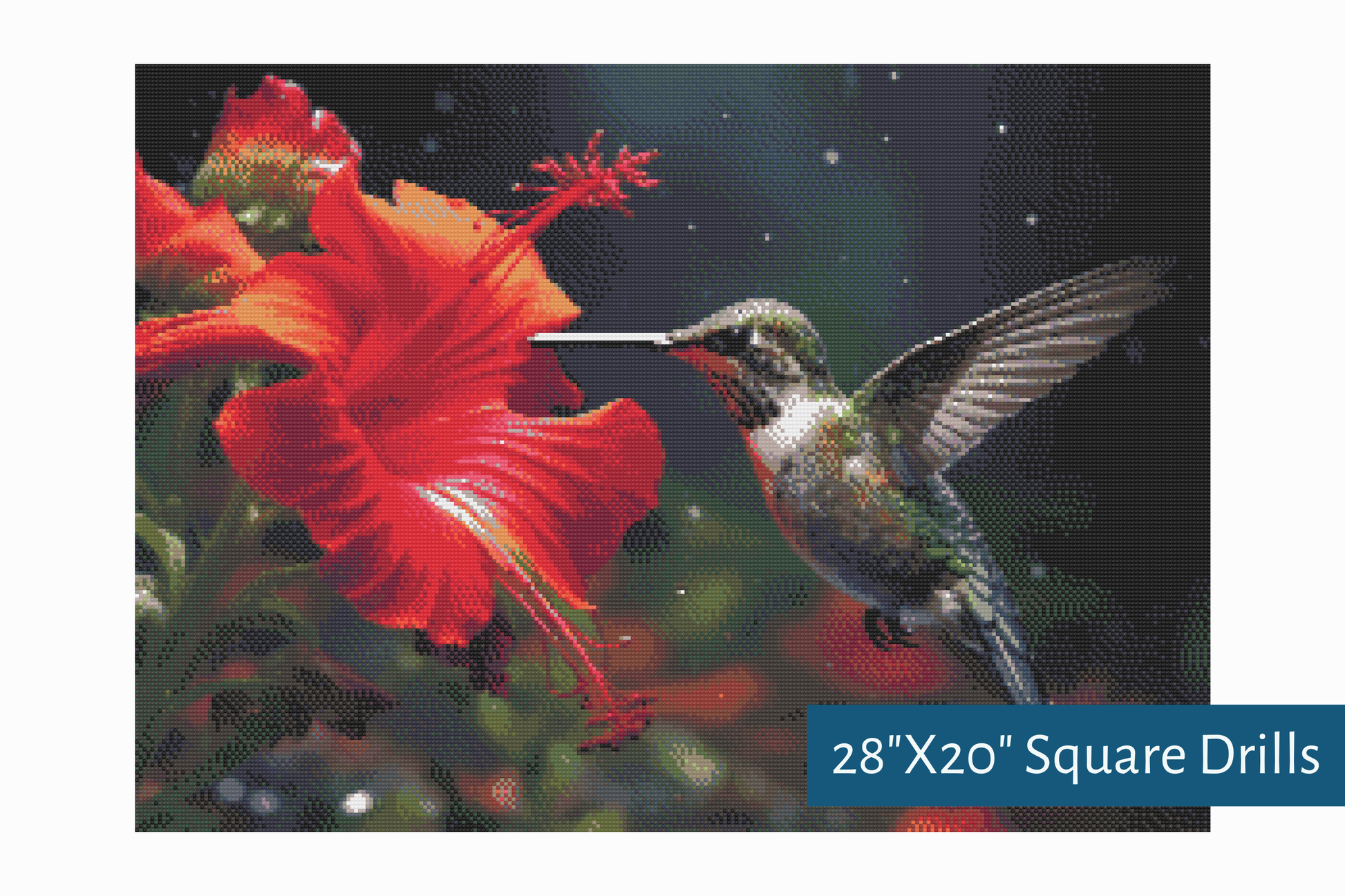 True North Diamond Art Diamond Painting Kits A Hummingbird's Kiss Diamond Painting Kit - Create Stunning Art, No Skill Required