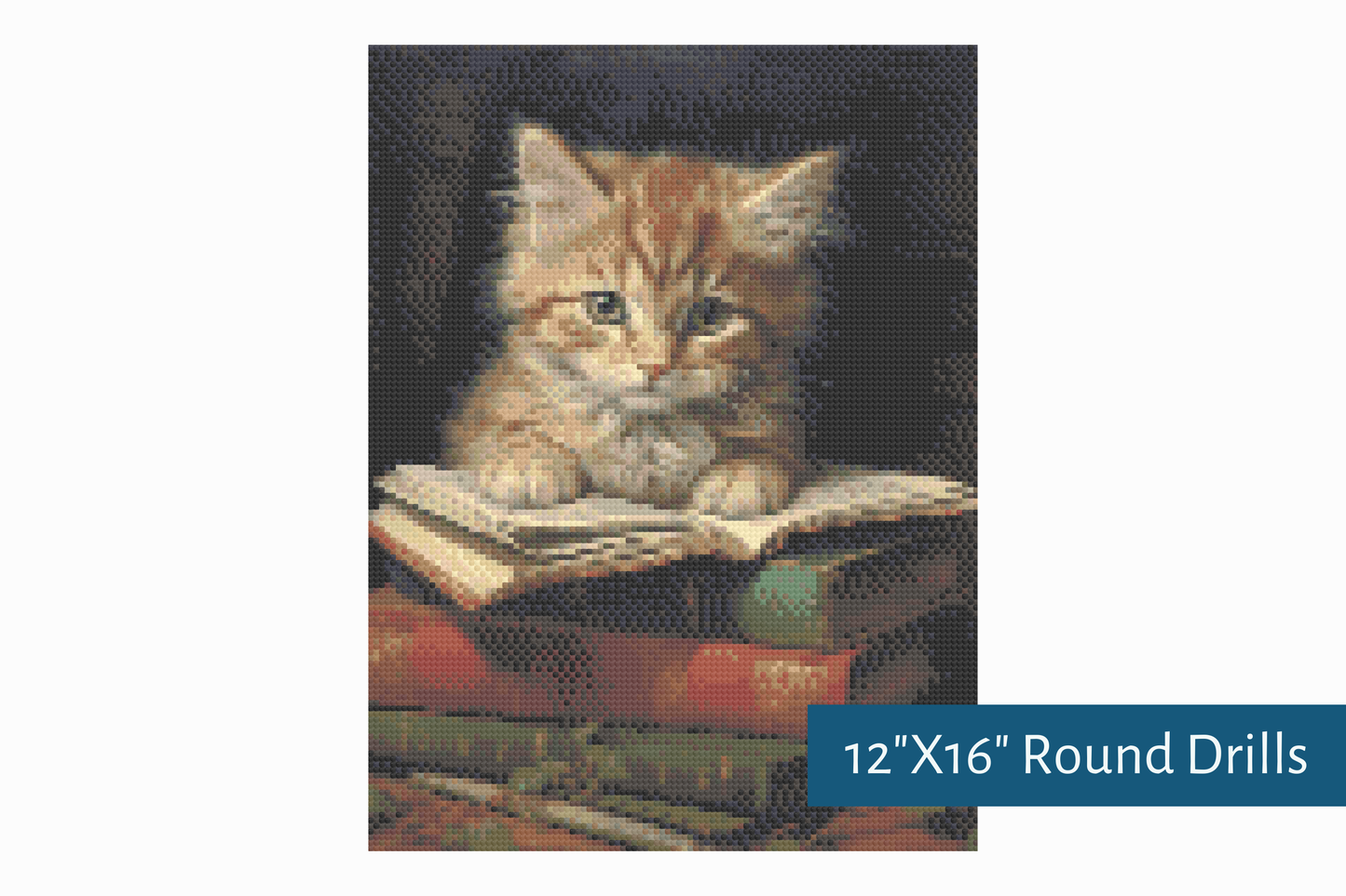 True North Diamond Art Diamond Painting Kits Purrs and Prose Diamond Painting Kit - Create Stunning Art, No Skill Required