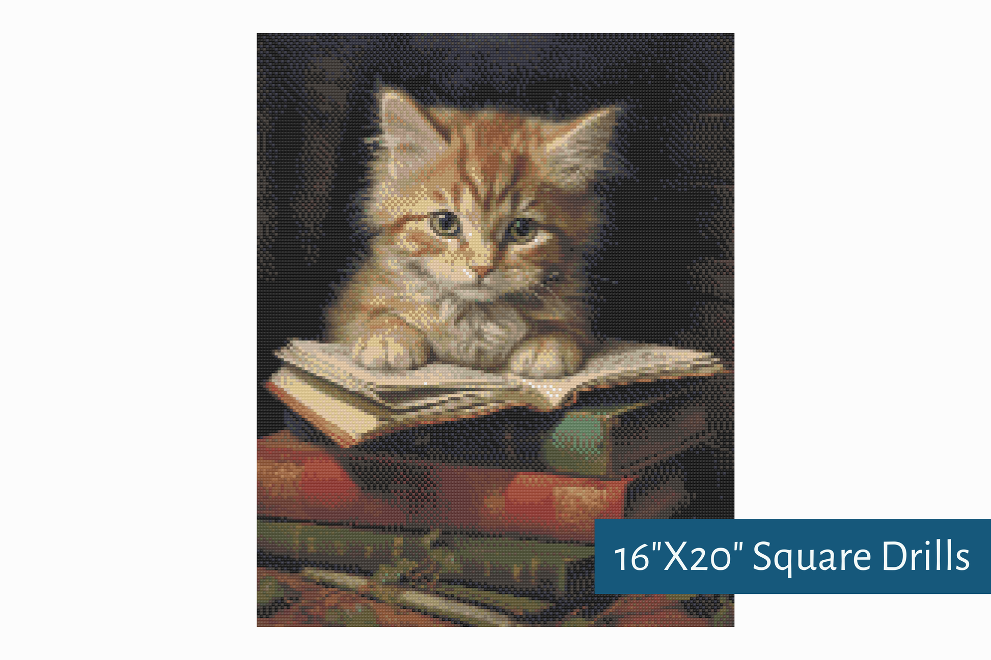 True North Diamond Art Diamond Painting Kits Purrs and Prose Diamond Painting Kit - Create Stunning Art, No Skill Required