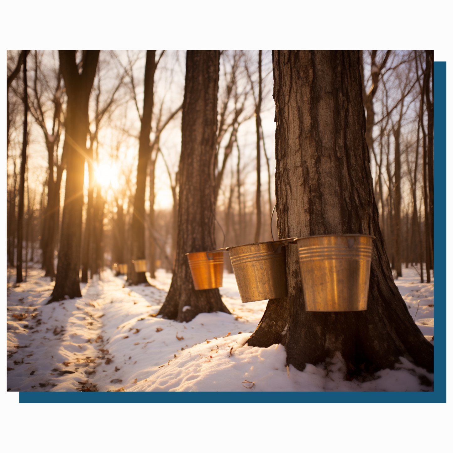 True North Diamond Art Diamond Painting Kits Sweet Tapping Diamond Painting Kit - Create Stunning Art, No Skill Required